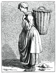 Ostras na casca !, 1737-1742.