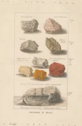 Espécimes de Rochas. Prova de uma Ilustração para o 