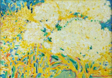 A árvore de sabugueiro