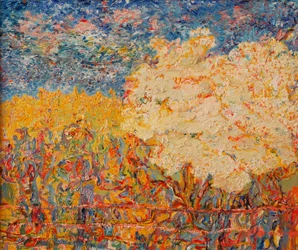 A árvore de sabugueiro II