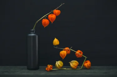Brilho de lanternas chinesas