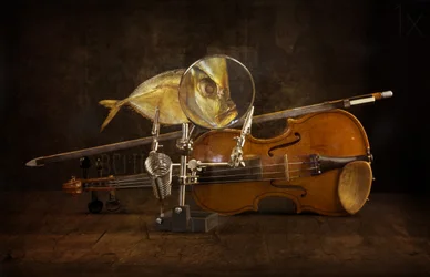 Peixe ampliado e violino