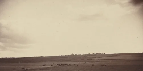 Vista de campos com vacas, anos 1850-1860 (foto)