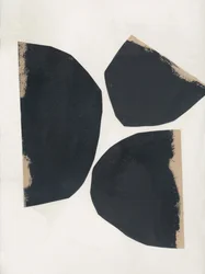 Formas Negras Orgânicas