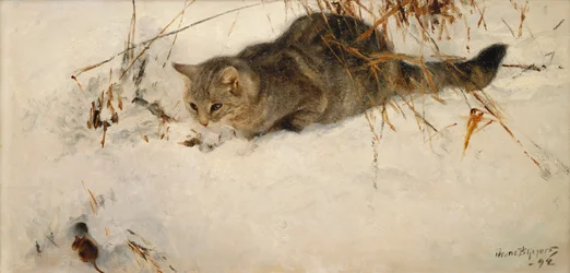 Um gato perseguindo um rato na neve