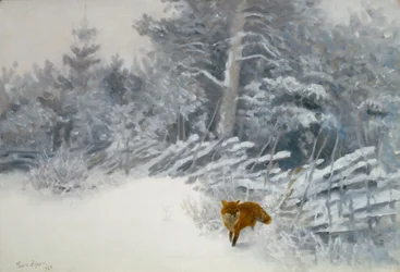 Uma Raposa no Bosque de Inverno