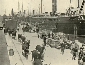 Tropas em Port Tampa, Flórida, EUA, Guerra Hispano-Americana, 10 de junho de 1898, 1899.