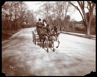 Anna Held e Florenz Ziegfeld dirigindo uma carruagem puxada por cavalos, Nova York, 1904 (impressão em gelatina de prata)