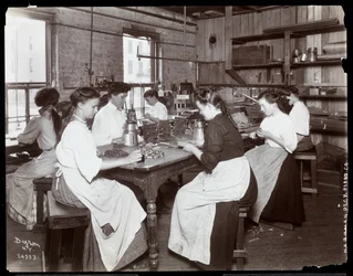 Mulheres que trabalham na fábrica de pianos Hardman, Peck und Co., Nova Iorque (impressão em gelatina prateada)