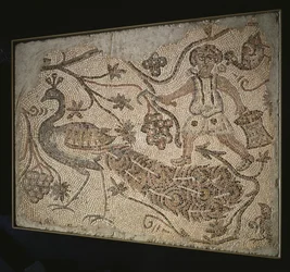 Painel de mosaico de pavimento: vindimador com pavão, anos 400