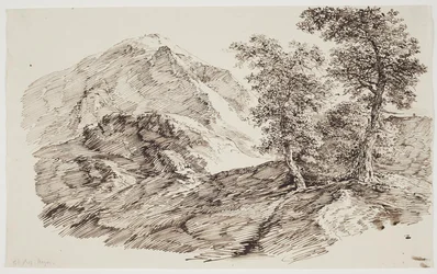 Paisagem montanhosa com árvores