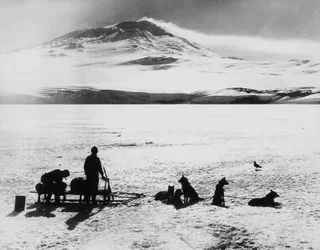 Expedição Pólo Sul por Robert Falcon Scott (1868-1912), exploradores antes do vulcão Erebus na ilha de Ross, 15 de janeiro