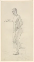 Modelo feminino em pé