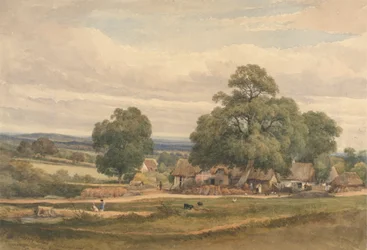 Emerey Down perto de Lyndhurst, New Forest, Hants