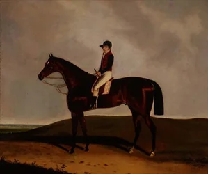 Um Cavalo de Corrida da Baía