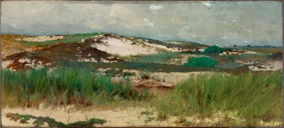 Duna de areia de Nantucket