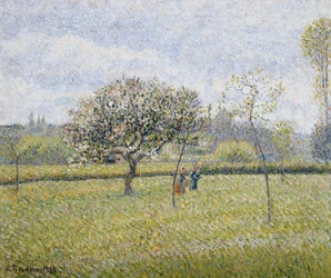 Macieira em flor em Eragny; Macieira em flor em Eragny, 1888