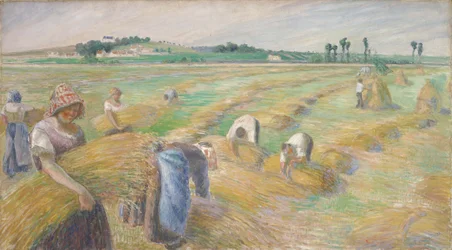 Colheita