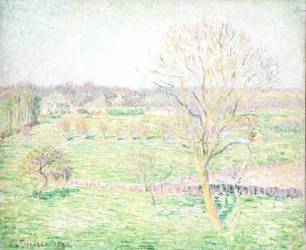 Um Campo com uma Nogueira na Primavera