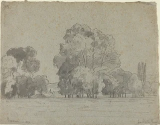 Bosque das Árvores, 1859.