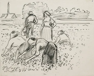 Estudo de cinco figuras camponesas trabalhando em um campo, 1887