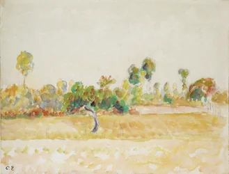 Estudo do pomar em Eragny-sur-Epte, visto da casa do artista, c1886-1890