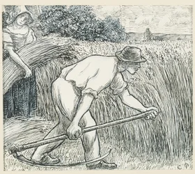 The Harvest, c.1895 (caneta e tinta com guache branco de chumbo no papel)