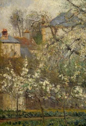 Horta e árvores em flor na primavera em Pontoise