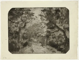 Pista arborizada em Pontoise