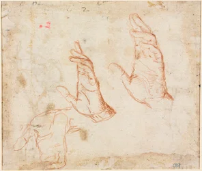Estudo das mãos verso, c. 1590