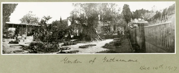 Jardim do Getsêmani, 14 de dezembro de 1917