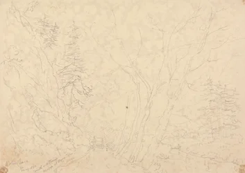Holne Chase, 30 de Maio de 1833