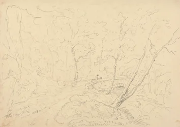 Ponte e Rio Holne Chase, 30 de Maio de 1833