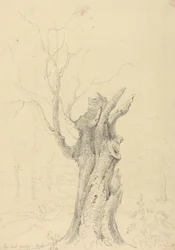 Em Lord Yarborough