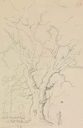 Na Newport Road, 12 de Fevereiro de 1826