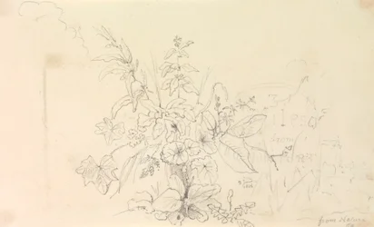 Sketch of Plants and a Milestone from Nature, 3 de Junho de 1826