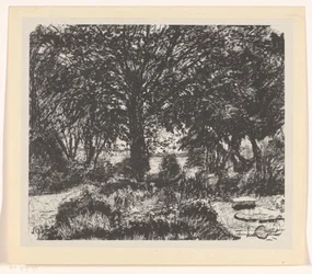 Jardim com árvore grande