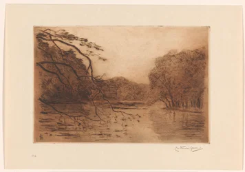 Lago na Floresta de Haia