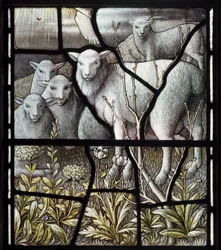 Mais de Wyresdale, Igreja de Cristo, Shrigley & Hunt (1873-1982), Carl Almquist, Igreja dos Pastores, Pastorícia, Ovelha, 18