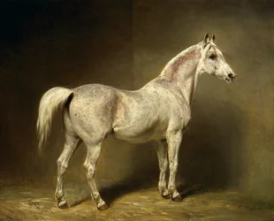 &39;Beatrice&39;, a cavalaria árabe branca de Helmuth Count von Moltke, 1855