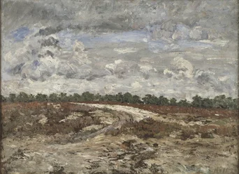 Paisagem selvagem na floresta de Fontainebleau