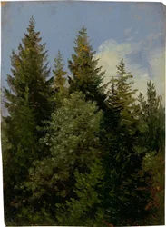 Abetos