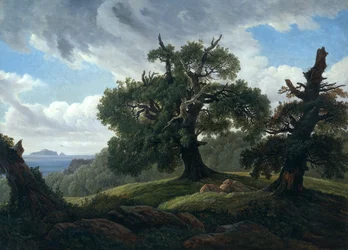 Memória de uma ilha arborizada no mar Báltico Carvalhos à beira-mar, 1835