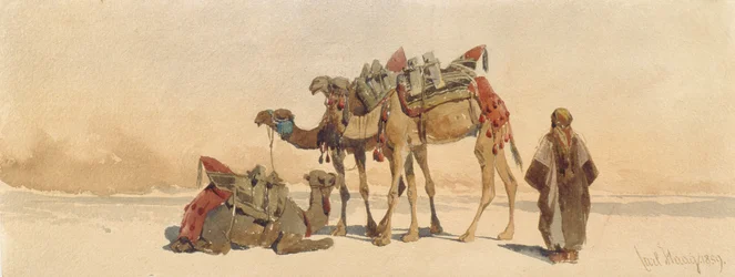 Descanso com três camelos no deserto, 1859