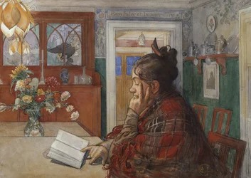 Leitura de Karin
