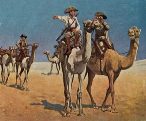 Perseguindo os hotentotes de cobre de Simon no deserto do Kalahari