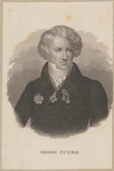 Georges Cuvier (1769 Montbéliard - 1832 Paris) - zoólogo francês, fundador da paleontologia