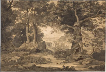 Heidelberg com a bela distância