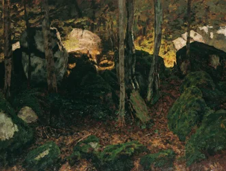 Interior da floresta perto de Saut du Doubs