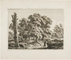 Paisagem